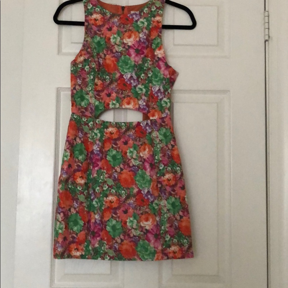 Nastygal Floral Cutout Dress (brand: Lush)